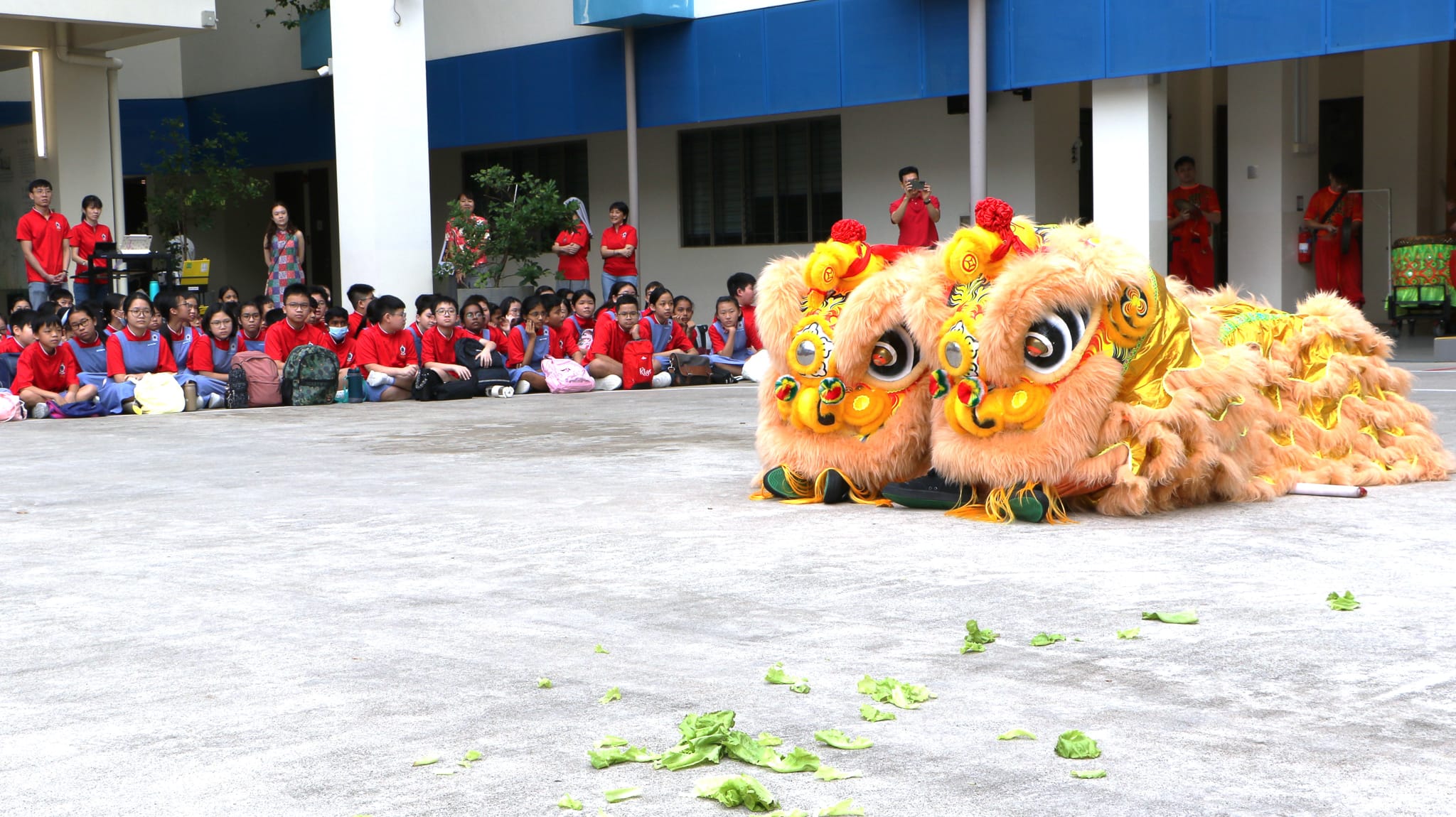 Chinese New Year Celebration